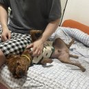 굽자나울진점 이미지