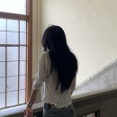 bouquet | [cheriaube 셰리오브] Bouquet Blouse-White 블라우스 후기