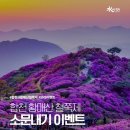 합천이벤트 이미지