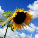 민주네집 이미지