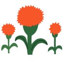 온누리화목약국 이미지