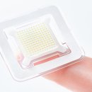 에스티씨엘 이미지