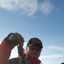 여수쭈꾸미 이미지