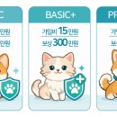 펫플러스(Pet Plus) 네이버블로그