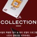 H4841 네이버블로그