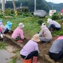 서천1리 이미지