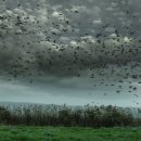 바다로일이오 이미지