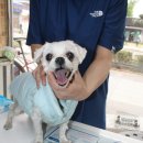 아양주공1차아파트 이미지