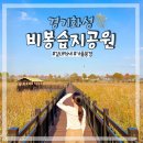 비봉인공습지 축구장 | 화성 11월 가볼만한곳 비봉습지공원 해설 프로그램 가을 갈대밭