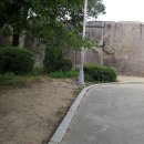 하와이장 이미지