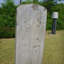 강지선생묘 이미지