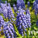 정원왕족발 이미지
