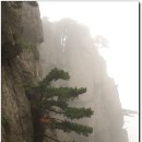 서해 산장 이미지