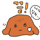 손가네아구찜 이미지