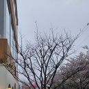 도나스테이