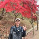 고성고등학교 이미지