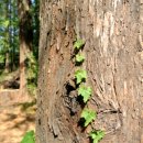 광주가톨릭대학교 이미지