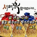 청춘하우스 이미지