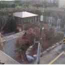 쌈지 이미지