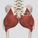 노브레이크PT헬스 이미지