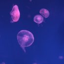 디자인존 - 송파구 오금로23길 8 | 디자인존