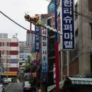 동일장모텔 이미지