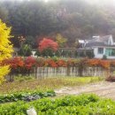 산천펜션 이미지