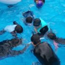 내서검도관 이미지