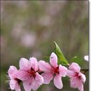 경기둘레길 안산50코스 이미지