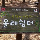 피반령송어나라 이미지