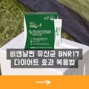 비엔날씬 유산균 BNR17 다이어트 효과 복용법