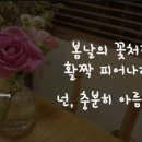 봄날의꽃처럼