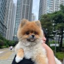 통도동물병원 이미지