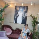 청춘극장 이미지