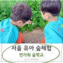 가족이 함께 떠나는 숲체험 & 놀이 - 숲속에서 만나는 동화 나라 | 서울 유아 숲체험 아이랑 가볼만한곳 반가워숲학교 분리수업 후기
