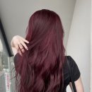 (주)레드팩