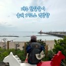제주 한달살기 | 올레 17코스 역방향, 도두봉 공원, 이호테우해수욕장, 외도식당