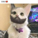 전현 이미지
