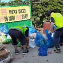 은행나무3길 이미지