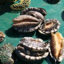 주식회사바다 이미지