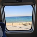 삼콩댕댕이발소 | 겨울 묵호 당일치기 자매 여행 (알차다 알차~🚢)