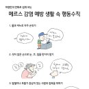이*기 Daum카페