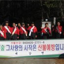 대강면 숲이다 충북일보