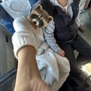 랭커PC방 잠실본점 | 요즘 밈은 머가 있나요?(대전데이트코스,성심당 웨이팅🍞)