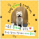 조은자리공인중개사사무소 이미지