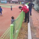 통일공원 테니스장