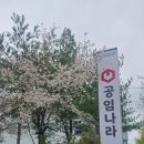 반석카센타 | 공임나라 대전 반석점 ,넓고 쾌적 친절은 기본