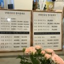 켈리플레르 이미지