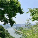 (주)굿모닝지리산 | 여행 후기