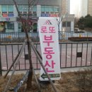 스타부동산중개사무소 네이버블로그